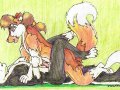 wolf skunk gay yiff.jpg